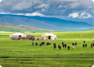 Capture the Beauty of Lake Khövsgöl