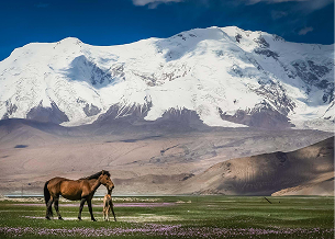 Horseback Riding Across the Steppes