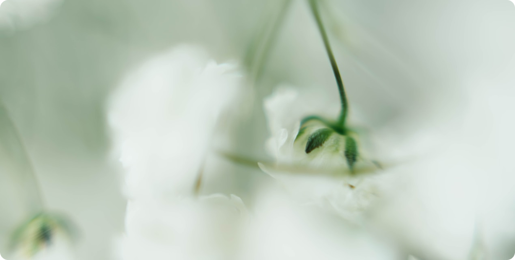 Hot Springs & Wellness Retreat